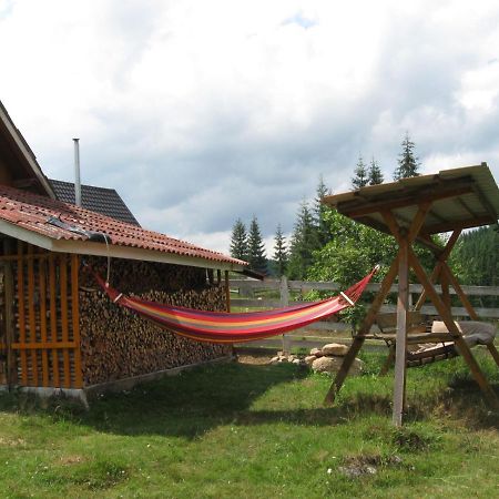 Podina Guest House Poiana Horea 외부 사진