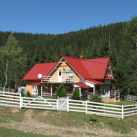 Podina Guest House Poiana Horea 외부 사진