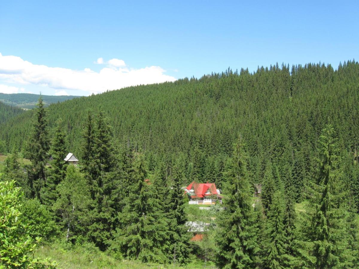 Podina Guest House Poiana Horea 외부 사진