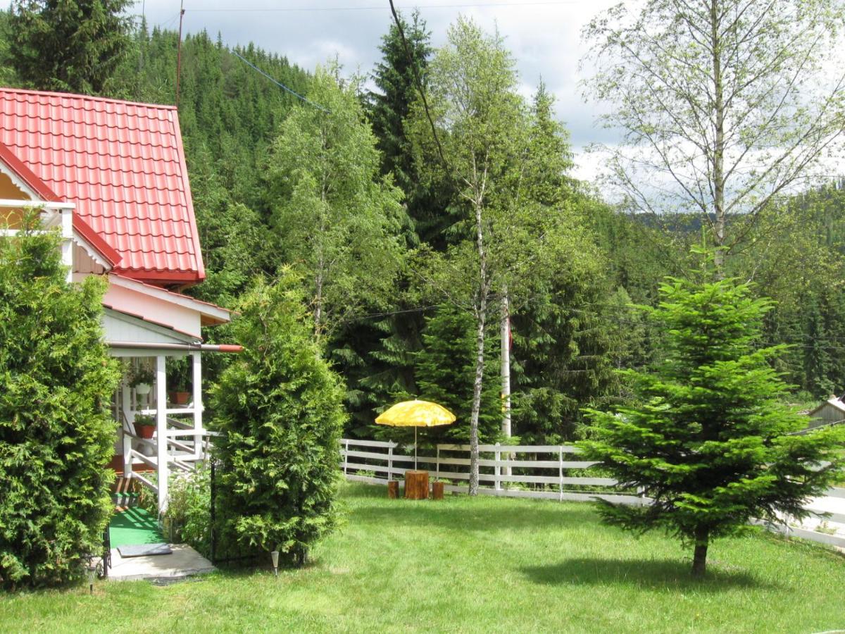 Podina Guest House Poiana Horea 외부 사진
