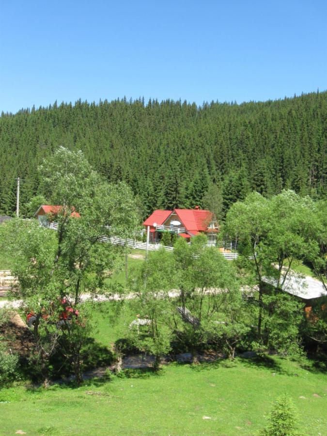 Podina Guest House Poiana Horea 외부 사진
