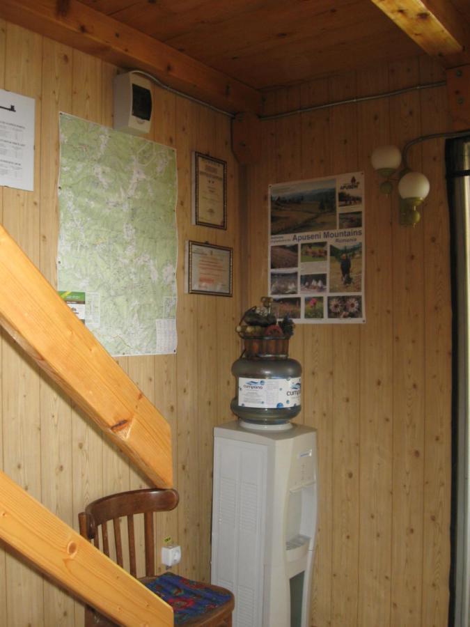 Podina Guest House Poiana Horea 외부 사진