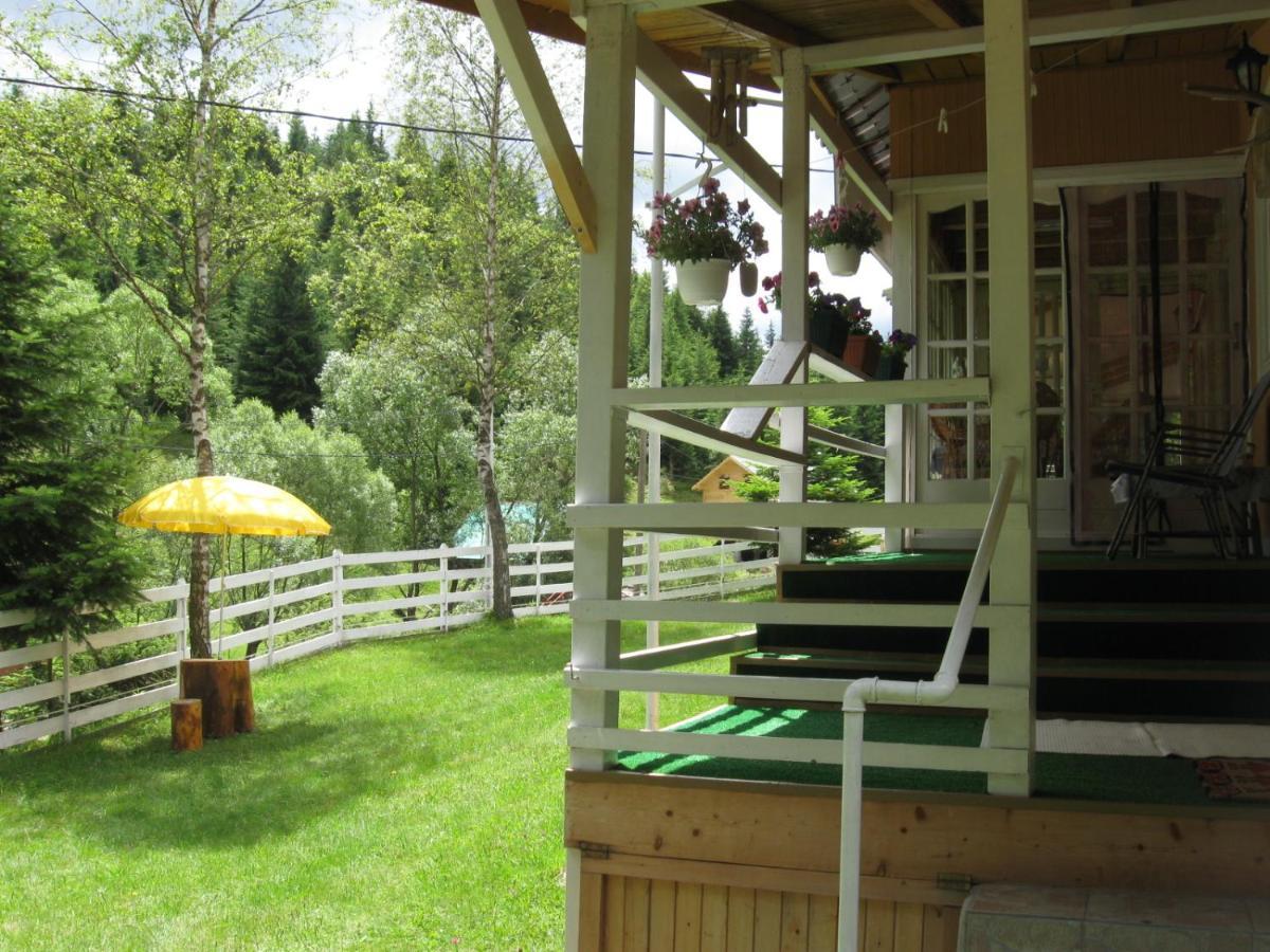 Podina Guest House Poiana Horea 외부 사진