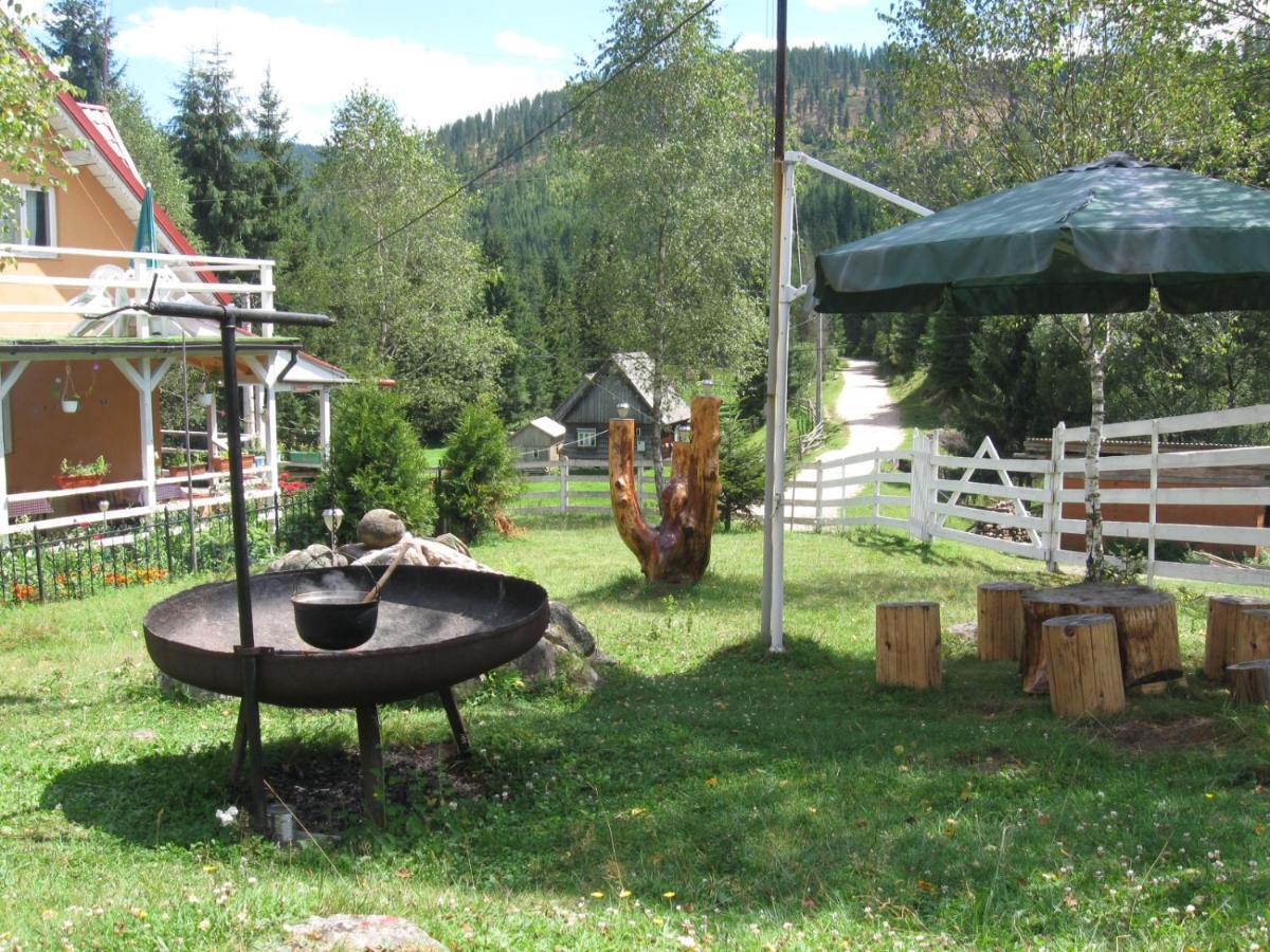 Podina Guest House Poiana Horea 외부 사진